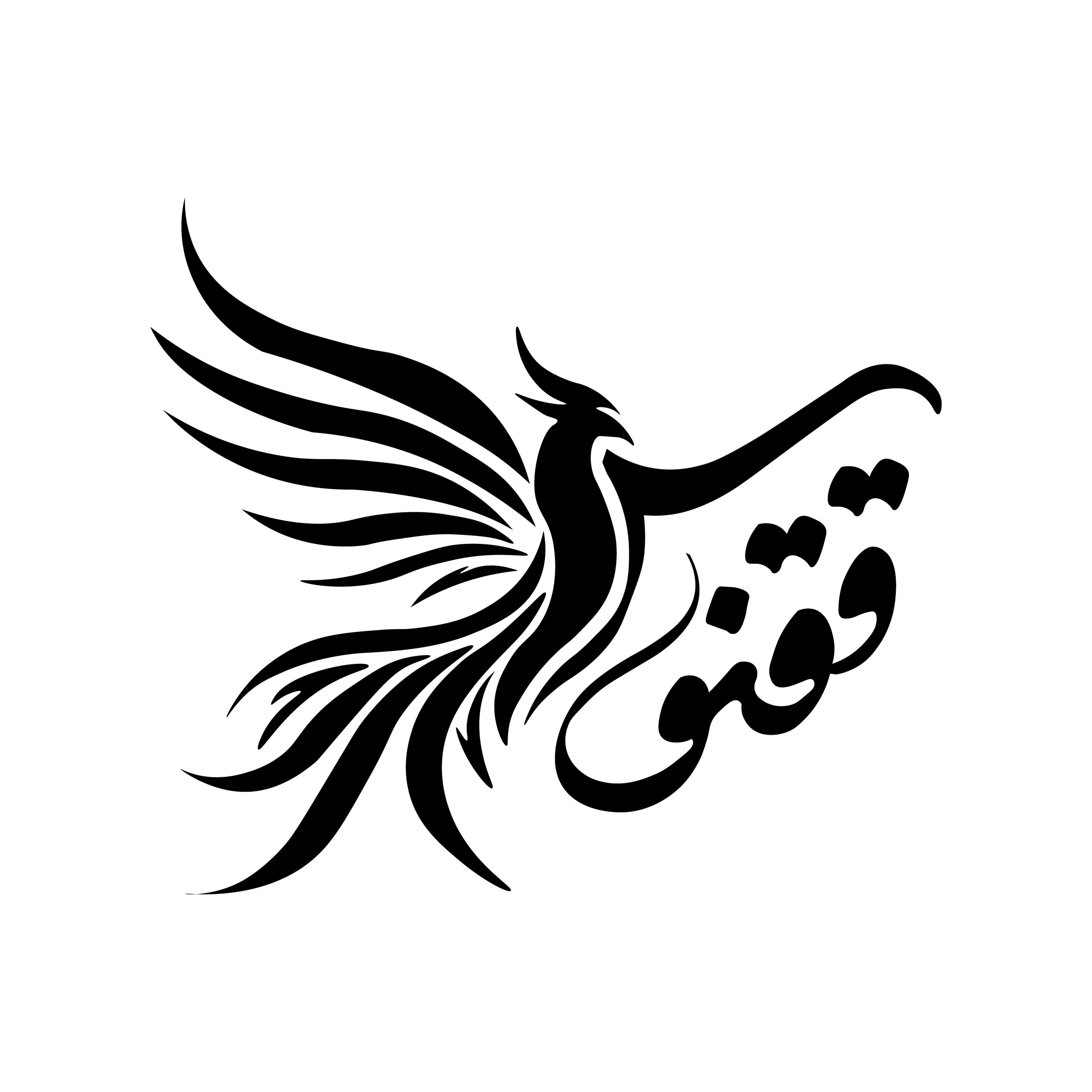 صفحه اصلی -شرکت ققنوس ارتباط سازان